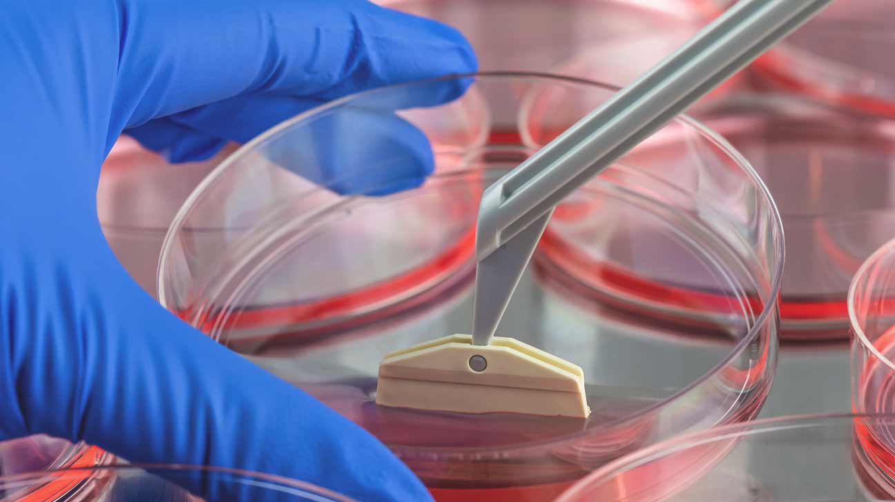 062416_msstem_THUMB_LARGE