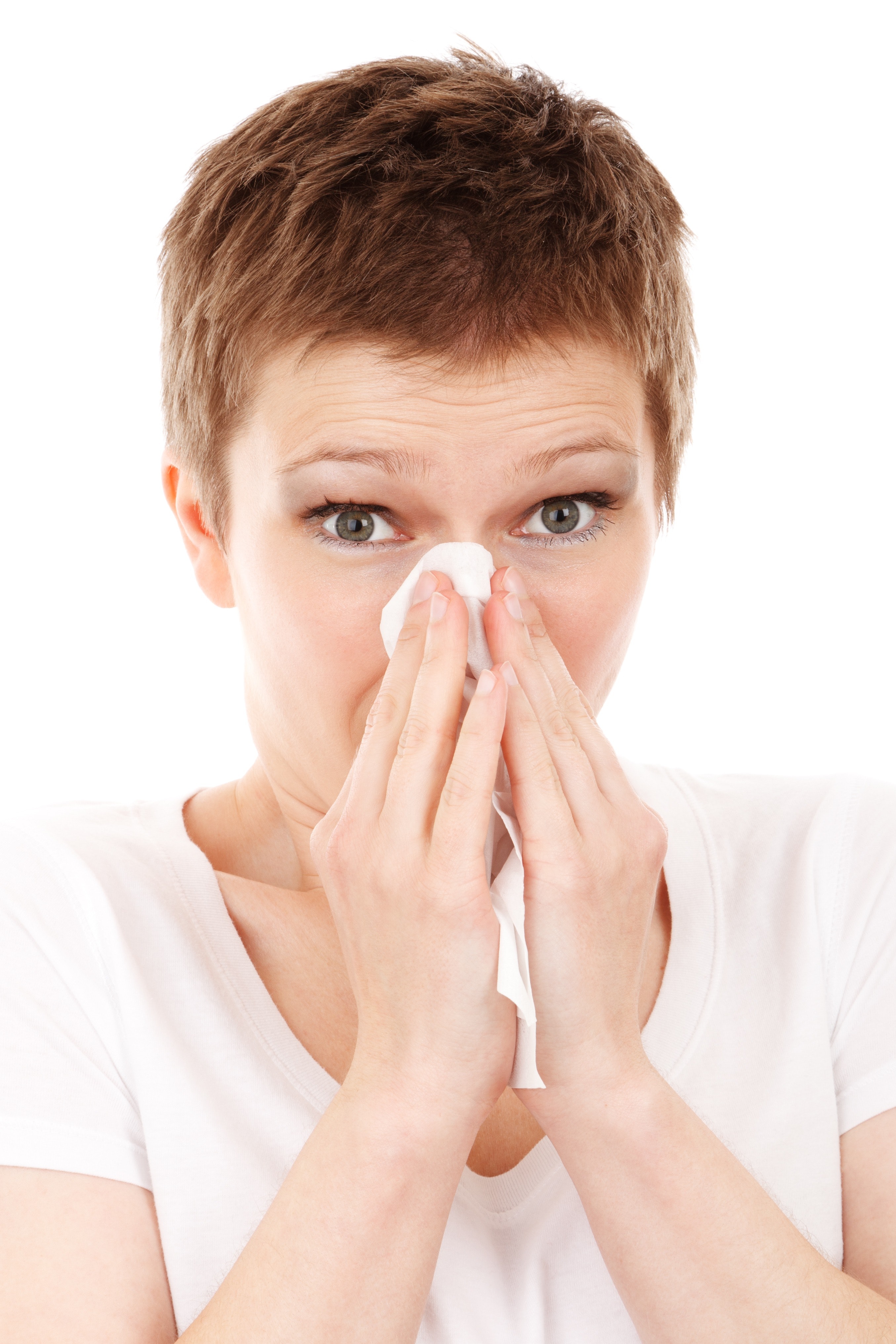 allergies-allergy-cold-41284+(1)