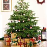 Eco ways to dispose of your Christmas tree this year