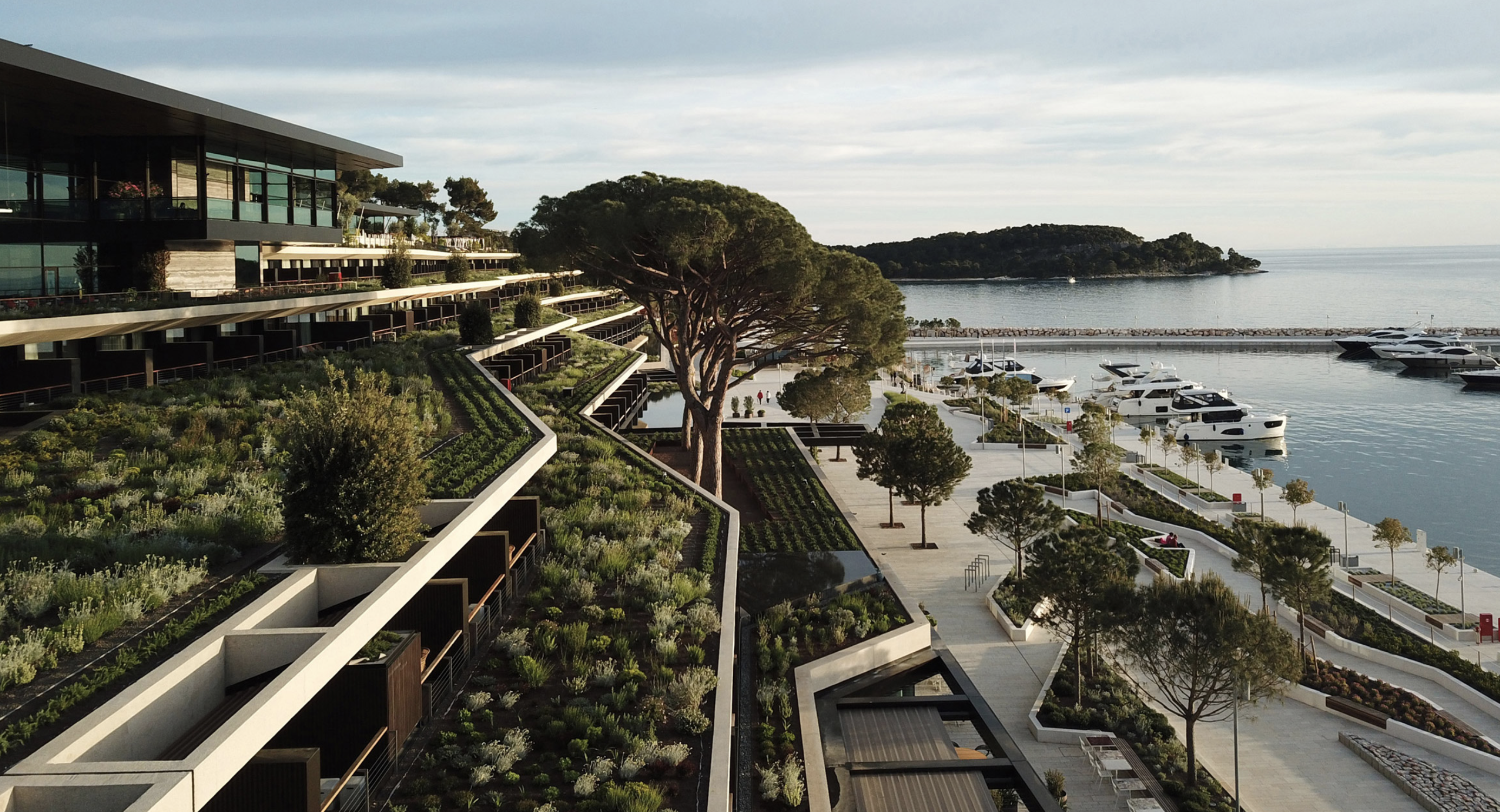 1513832_screenshot20200115at15.25.59