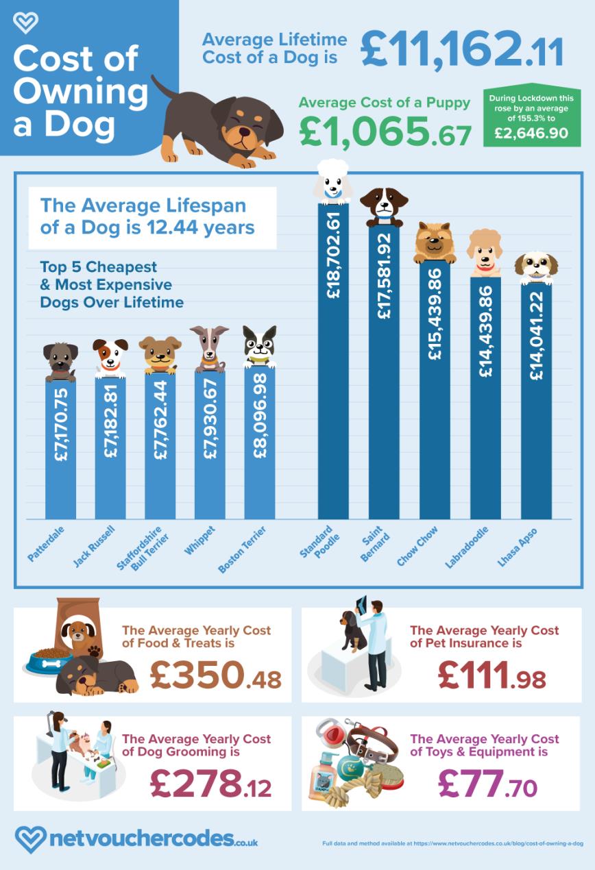 what is the monthly cost of owning a dog