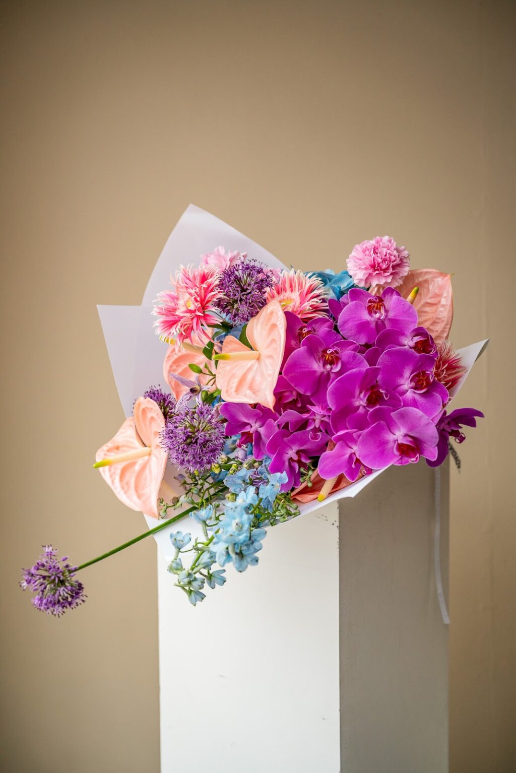 0D6D30D5-1F2F-4374-AE8A-6DEF1F581973