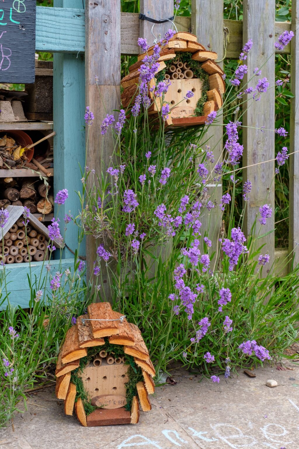 Parc Jiwbili Bee Hotel 2
