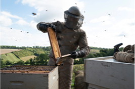 BEEKEEPING SET TO BECOME HOTTEST HOBBY TREND OF 2024 The Daily Brit   Image004 