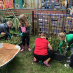 Dandara springs into action to support Carway Primary School with garden project