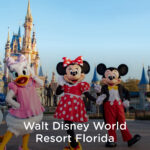 Travel experts reveal insider tips on getting the most out of your Walt Disney World visit