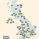 The race is on to crown Britain’s Favourite Butterfly and London backs the Peacock, but it’s not over yet