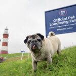 London’s pets have the shortest average lifespan in the UK, report reveals