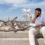 THE GREAT GREEDY GULL HEIST: BRITS LOSE £171 MILLION WORTH OF FOOD TO SEAGULLS EACH YEAR
