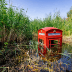 WWT London Wetland Centre’s much-loved Rain Garden transformed for a new generation